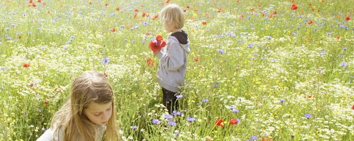 Füllwatte Allergiker geeignet Dustmite-protect von HobbyBest - kullaloo